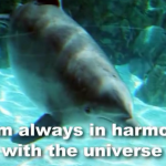 Inspirational, Spiritual Visualization Video Image