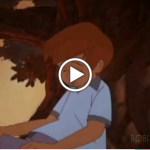 image - braver than you believe