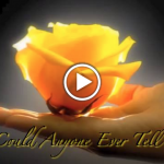 image - how could anyone