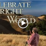 image - celebrate what's right