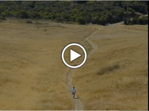 Jack Rabbit Commercial Jack Rabbit Factor